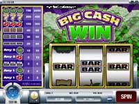 Big Cash Win Slots