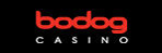 Top US Online Casinos